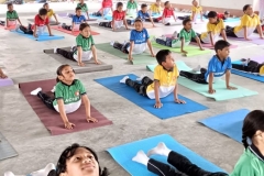 WhatsApp-Image-2025-11-27-at-10.19.53-1